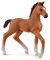 SCHLEICH 13947 Oldenburger Fohlen, ab 5 Jahren, Horse Club - Spielfigur, 8 x 3 x 8 cm