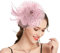 Takmor Fascinator Hochzeit, Hut Damen Mesh Federn Clip Kopfschmuck Fascinator auf Tea Party Kirche Hochzeit Cocktail für Frauen und Mädchen