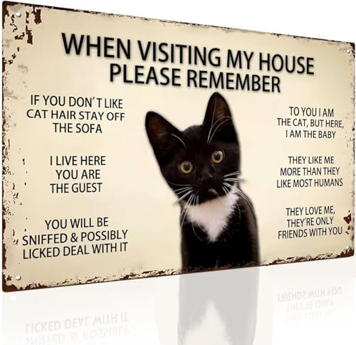 Funny Cat Rules Metal Sign- When Visiting My House Please Remember - Black Cat Apartment Decor for Cat Lover, Retro Room Decor Caution Sign 8X12inch Tin Sign