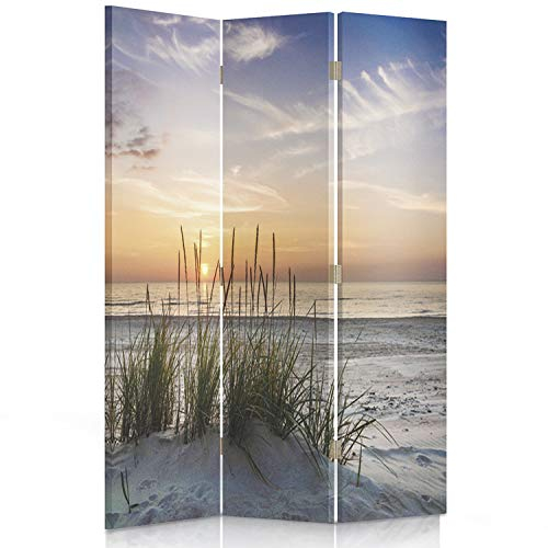 Feeby Paravent Landschaft Grass Strand Wasser Meer 110x180 cm 3 Teilig Modern Design beidseitig Wandschirme Foto Trennwand Raumtrenner Sichtschutz Spanische Wand auf Leinwand Bedruckt Sand Himmel