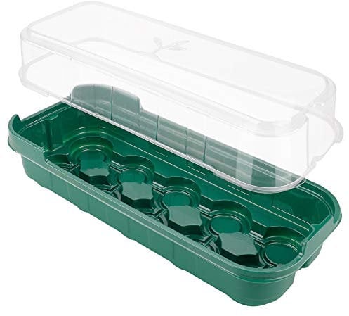 Babody 6 Pack Seed Starter Tray, Mini Sturdy Windowsill Trays with Cover Dome, Greenhouse Grow Trays Mini Propagator for Seeds Growing Starting (10 Cells per Tray)