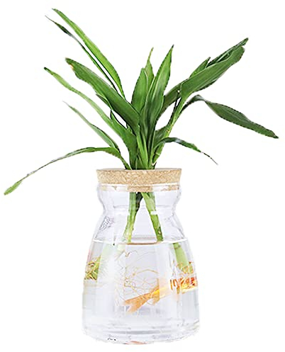 MMIAOO Florero Hidropónico,Floreros Decorativos Modernos,Terrario Cristal - Tranparente Mini Jarrón de Vidrio,Centro Mesa Decorativo,Oficina, decoración de Bodas
