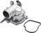 Frankberg 1 termostato con carcasa compatible con clase C 2001-2011, clase CLC 2008-2011, CLK 2005-2009, clase E, 2002-2009, replace# 6462000015