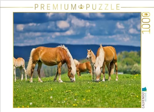 Puzzle · Haflinger Gruppe beim genießen der frischen Luft | 1000 Teile · Lege-Größe 64 × 48 cm · CALVENDO Puzzle