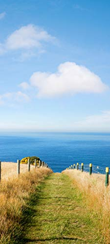 Bilderdepot24 Türtapete Schöner Weg zum Strand II 90 x 200 cm - einteilig Türaufkleber Türfolie Türposter - Meer Düne Strand Landschaft