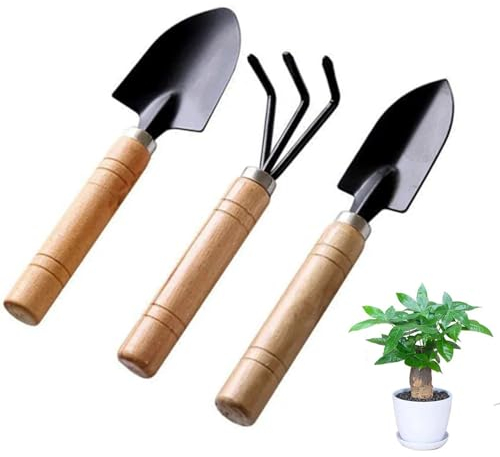 Lot de 3 mini outils de jardinage - Pelle de jardin - Petite pelle légère - Pour mini plantes succulentes en pot - Outils de jardinage