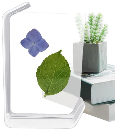 Tisch-Bilderrahmen,Trockenblumen-Fotorahmen | gepresster Blumen-Fotorahmen | Pflanzenexemplar-Rahmen, dekorativer Bilderrahmen für gepresste Trockenblumen, Pflanzenexemplar-Kunstwerk-Präsentation