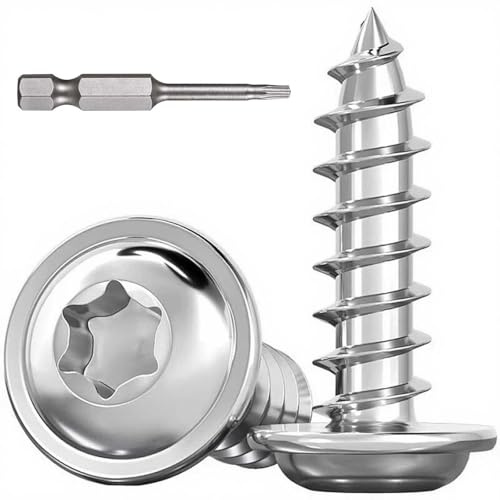 Dayalo 30-pack självgängande skruvar Torx M5 x 10 mm, självgängande skruvar rostfritt stål A2 V2A, linsenhuvudskruvar för trä, självskärande skruvar med skiva, med skruvmejselsbit