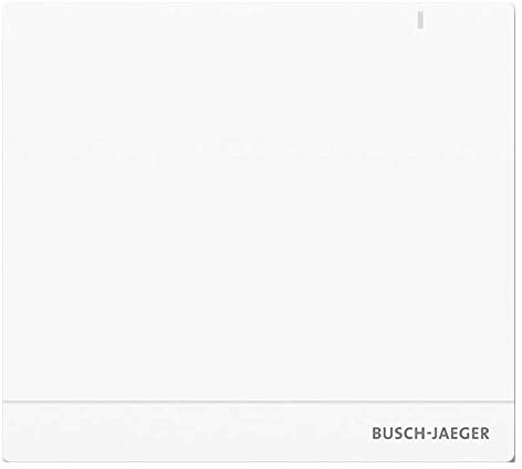 System Access Point 2.0 BUSCH-JAEGER SAP/S.13