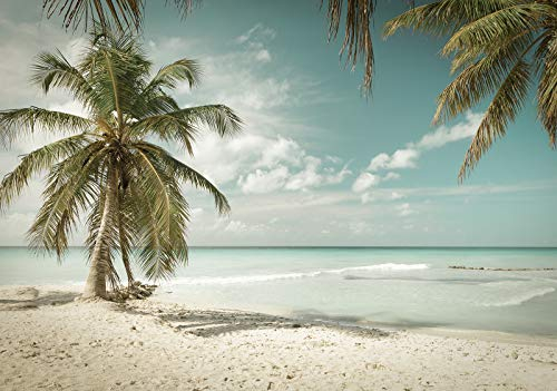 Forwall - Vlies Fototapete Strand Meer Sand Palmen Tropen Natur Landschaft 368x254 cm - Fototapeten - Tapeten - für Wohnzimmer Schlafzimmer - Vliestapete Wandtapete Tapete 3D Effekt- inkl. Kleister