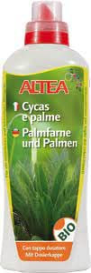 Sconosciuto Altea Cycas E Palme 1000g