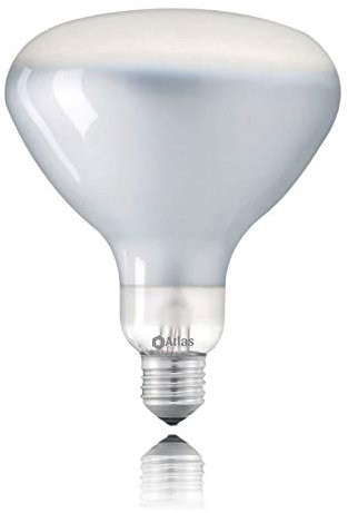 Atlas - Bombilla LED E27 2700 K R125 floss lámpara paréntesis de LED regulable esmerilado satinado, luz cálida 11 W de bajo consumo