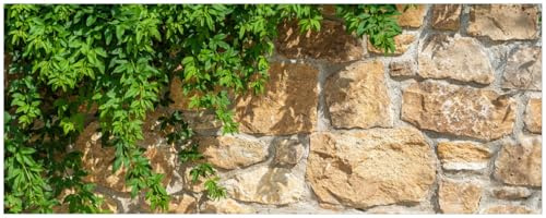 Wallario Küchenrückwand selbstklebend 115 x 50 cm, Motiv: Natursteinwand mit Ranken | Spritzschutz abwischbar & pflegeleicht