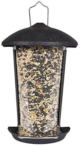 Perky-Pet Small Wall or Post Mount Wild Bird Feeder, Holds 500 g of Bird Seed #101-5