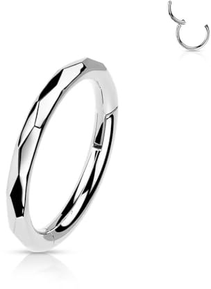 Stachelkleid Titan Ring Facetten Segment Clicker Ohrpiercing Tragus Helix Conch Daith