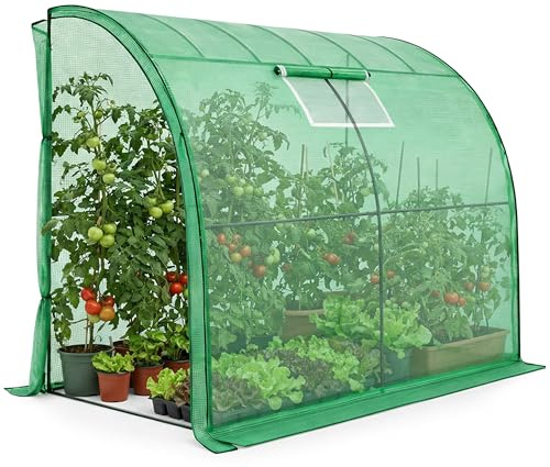 AKORD Invernadero Adosado de Pared para Jardín y Huerto, Estructura de Acero y Lona PE con Filtro UV, 1 Puerta y 1 Ventana, 100x200x210 cm, Verde