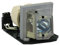 Supermait BL-FP230D SP.8EG01G.C01 A+ Qualität Ersatz Projektor Lampe Beamerlampe Birne mit Gehäuse Kompatibel mit OPTOMA DH1010 EH1020 EW615 EX612 EX615 HD180 HD20 HD200X HD200X-LV HD20-LV (MEHRWEG)