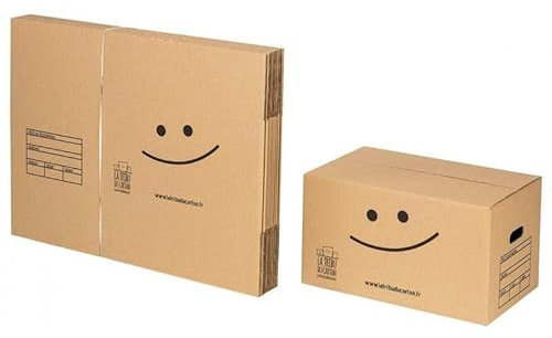 LA TRIBU DU CARTON Kit 10 cartons standard avec poignées