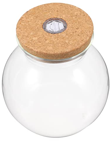 FRCOLOR 2st Landschaftsflasche Mini-Aquarium Mit Led-licht Kleine Glasflaschen Mit Korken Glasgefäß Mit Korkdeckel Blumenaquarium Glaskugel Runde Glasvase 3D Weiß Holz Filter Sukkulenten