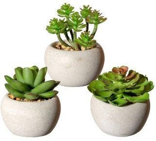 artplants.de Deko Sukkulenten Gesteck PLOKSA im Zementtopf, 3 Stück, grün, 8cm - Künstliches Gesteck