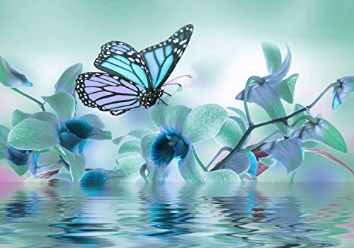 wandmotiv24 Fototapete Türkis Orchidee, S 200 x 140cm - 4 Teile, Wanddeko, Wandbild, Wandtapete, Blumen, Wasser, Schmetterling M3741