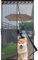 MEEYI Premium Slim Fliegengitter 85x210cm, Insektenschutzrollo Fliegengitter Hochdichte Magnetgittertür Easy Install Für Door Net - Schwarz