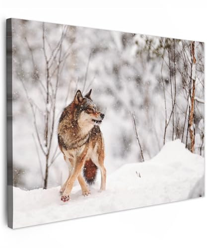 MuchoWow© Impression sur Toile Decoration Murale Peinture 70x50 cm Tableaux Art Décoratif Muraux Décoration Chambre Loup - Hiver - Neige - Nature - Animaux