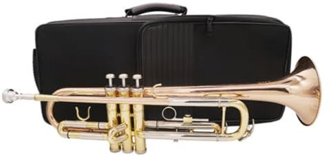 Anfänger Trompete B-Trompete Profi-Instrument Phosphorbronze Anfänger