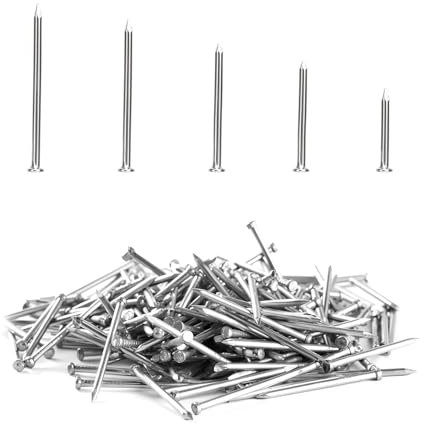 300 pezzi collezione di chiodi in acciaio | Penne universali zincate per calcestruzzo, legno e progetti fai da te | 5 misure in scatola di assortimento | Strumento professionale per appendere e