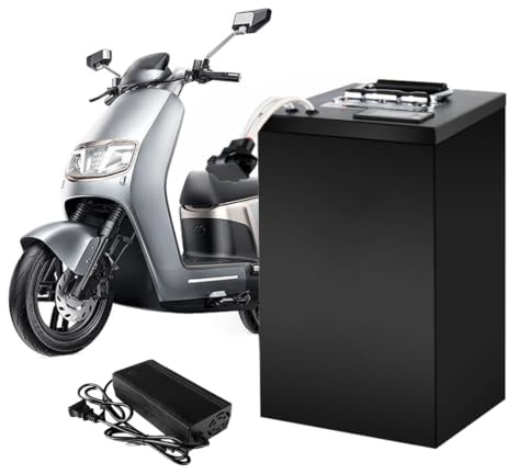 HJGHY ,48v 100ah, Batterie Lithium 60 V 25 Ah 35 Ah 55 Ah 65 Ah 80 Ah pour Moto électrique, Scooter, cyclomoteur, Tricycle, avec Chargeur