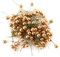 HERCHR 100 Pezzi di Bacche di Agrifoglio Artificiale, Mini Bacche finte Dorate, Decorazioni per la Corona dell'albero di Natale, Artigianato Fai-da-Te(12mm)