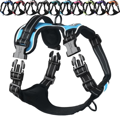 VIVAGLORY Anti Zieh Geschirr für Hunde Hundegeschirr, L, Blau, B | Antizuggeschirr mit Gepolstert Griff & Brustring, Anti Zieh Mitwachsend Ausbruchsicher & Reflektierend für Welpe Hund