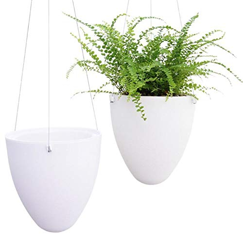 Cratone Hängepflanztopf Blumenampeln zum aufhängen Selbstbewässerung Blumentopf Kunststoff Moderner Dekorative Pflanzenampel für Innen- und Außenbereiche, Eiform Weiß 1Stk