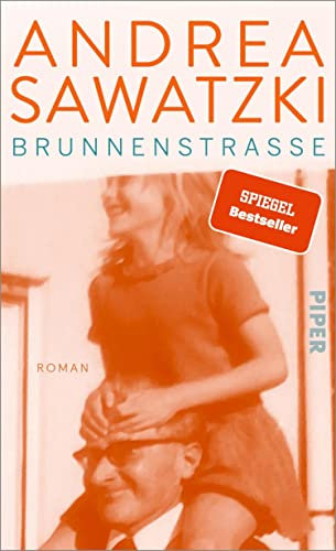 Brunnenstraße: Roman