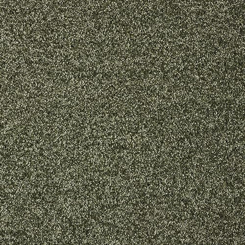 Weicher Teppichboden in Dunkelgrün Teppich Meterware ideal für Wohnzimmer und Schlafzimmer Kräuselvelours Teppich Auslegware in Oliv (4 m x 7,5 m)