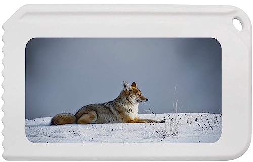 Azeeda 'Ruhender Wolf' Kunststoff-Eiskratzer (IC00014185)