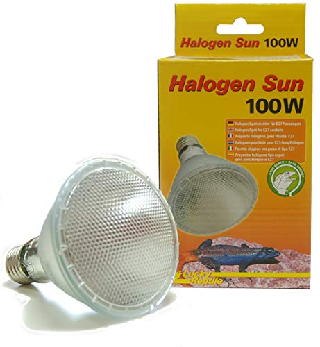 Lucky Reptile Halogen Sun-100 W Wärmestrahler für E27-Fassungen-Halogenstrahler für Reptilien-Terrarium Lampe mit Tageslichtspektrum-Wärmelampe dimmbar-Zubehör Terrarium 63403, Mindestabstand: >50cm