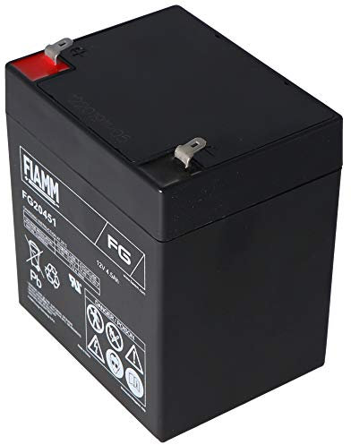 FIAMM Batteria ricaricabile al piombo FG20451
