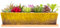 Artketty Grand pot de fleurs rectangulaire en céramique de 30,5 cm avec plateau de drainage, pour cactus d'intérieur, plantes succulentes, bonsaï peu profond, décoration de jardin