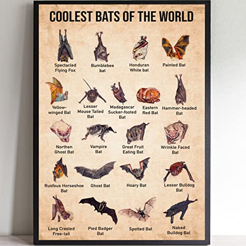 Coolest Bats of The World Bat Science,12 * 8 Inches Vintage Funny Poster Wall Decor Art Gift Retro Picture Metal Sign