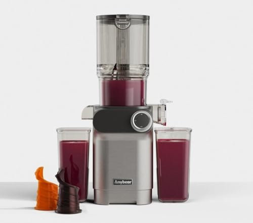 Anybear Kaltpress-Entsafter, 200 W, langsamer Entsafter, 10,9 cm, große Futterschütte, passend für ganze Früchte, Gemüse, verbesserte Schnecke, Tritan-Materialien, BPA-frei, Saftrezepte (Silber und