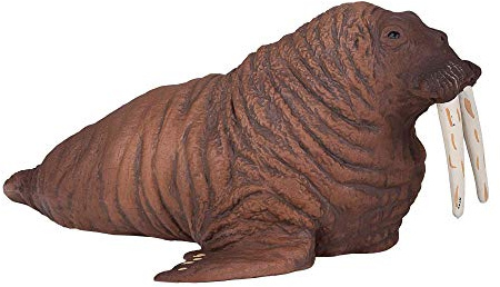 MOJO Walrus Sealife Wildlife Animal Model Toy Figure