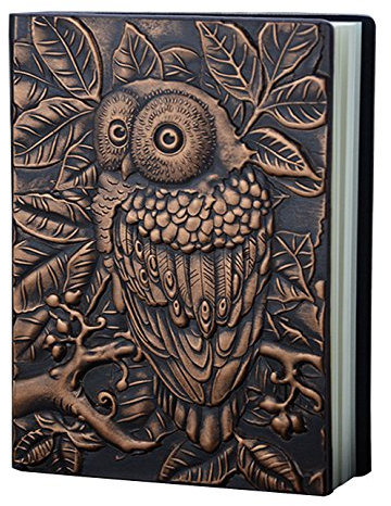 AiSi Retro A5 Liniert Notizbuch Tagebuch Journalbuch Notebooks Reisetagebuch Buch 20 * 15 * 2cm 3D Eule Muster