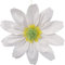 MIJOMA XL 3D-Papierblume Papierblüte Krepppapier-Blume zum Hängen Ø30cm, Party-Dekoration zum Geburtstag Bachelorette Hochzeit Babyparty Brautparty Party-Dekoration (Weiß)