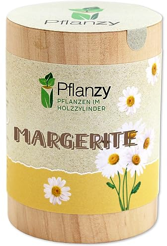 Feel Green Pflanzy Margerite, Nachhaltige Geschenkidee (100% Eco Friendly), Grow Your Own/Anzuchtset, Pflanzen im Holzzylinder, Made in Austria