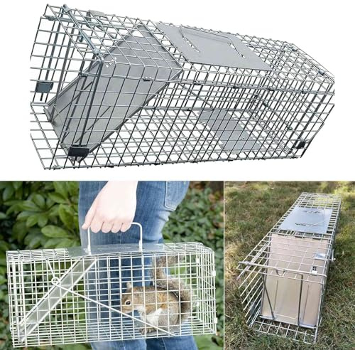 Groß 61x19x21cm Katzenfalle Marderfalle Kaninchenfalle Lebendfalle, Tierfreundliche Hygenische Mausefalle Rattenfalle Lebend, Wiederverwendbare Wühlmausfalle, Nagetiere mit Schnellverschluss