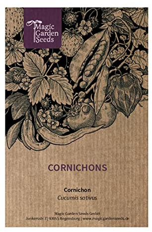 Cornichons (Cucumis sativus) - ca. 20 Samen