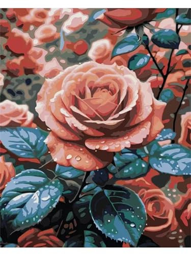 Cooiiye Malen nach Zahlen Erwachsene DIY Rosen Blumen Pflanzen Handgemalt Ölgemälde Kit für Anfänger mit Pinseln und Acrylfarben Paint by Numbers für Home Décor Geschenk,Ohne Rahmen 45x60cm