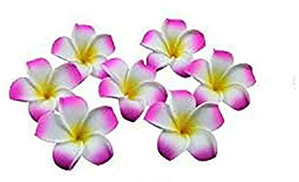 HugeStore 100er 6CM Plumeria Hawaiian Frangipani Schaumblüte für Hochzeit Party Dekoration Lila