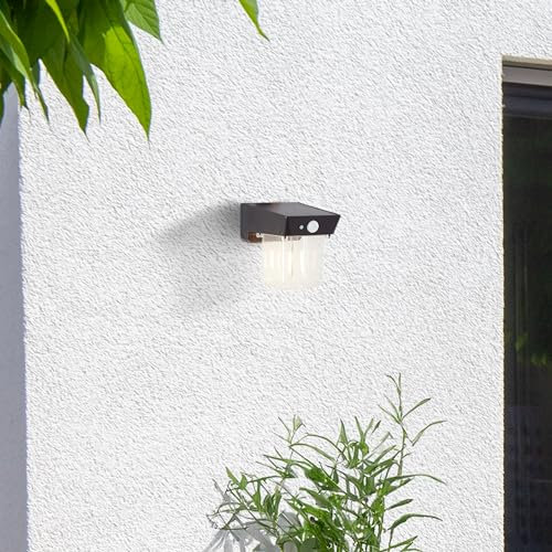 Lightbox LED Außenwandlampe mit Solar-Paneel & Bewegungsmelder & 240 lm & 2700 K - zeitlose Outdoor Wandleuchte - 12 x 10 x 11 cm - für den Hauseingang - aus Kunststoff - in Schwarz